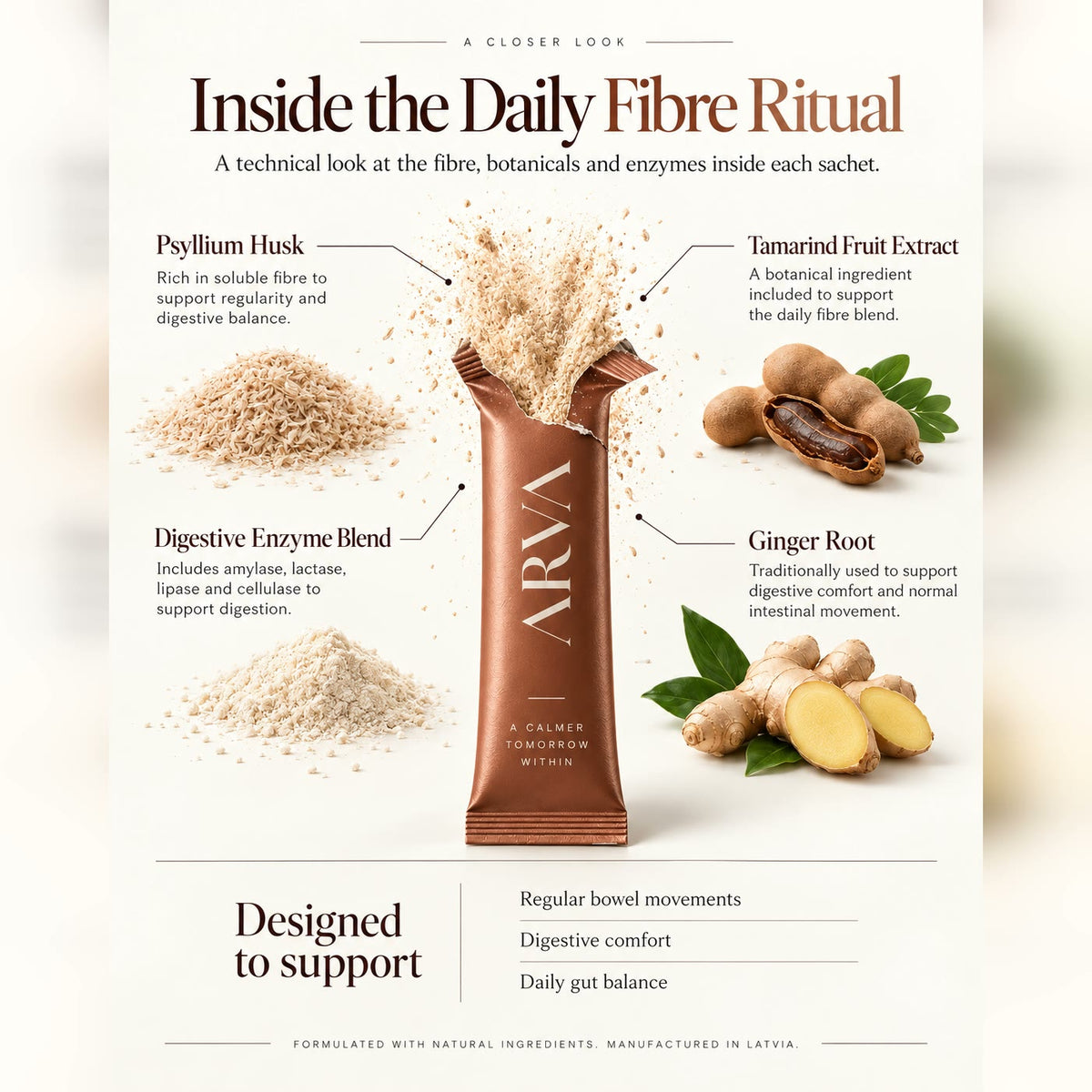 Inside the daily fibre ritual: psyllium husk, tamarind fruit extract, a digestive enzyme blend of amylase, lactase, lipase and cellulase, and ginger root
