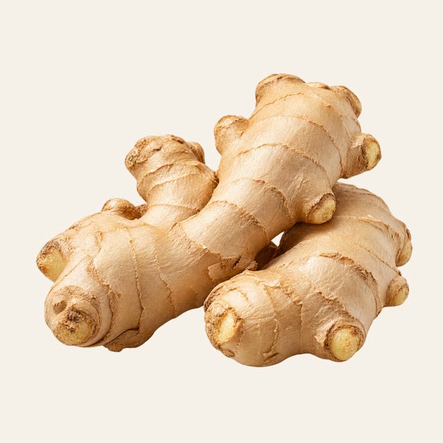 Ginger Root